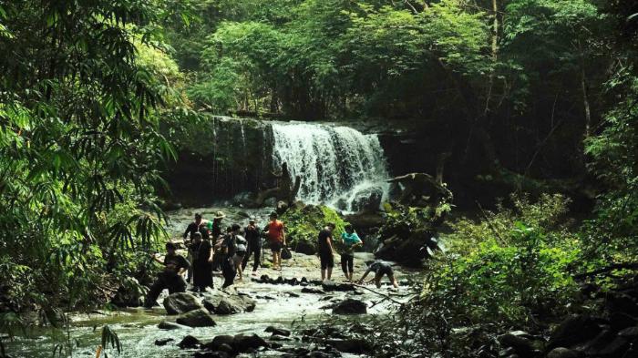 Khám Phá 2 Cung Trekking Đẹp Nhất Bù Gia Mập: Tuyệt Tình Cốc & Thác Lưu Ly