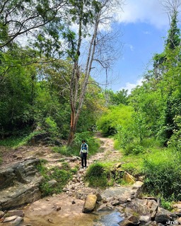 Cung đường trekking N&uacute;i Định giữa rừng
