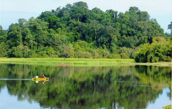 Trekking Nam Cát Tiên Có Gì? Kinh Nghiệm Khám Phá Cho Người Mới