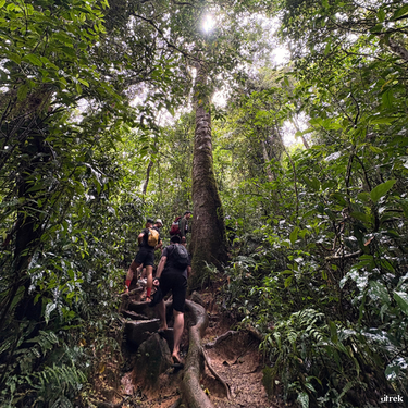 Trekking Langbiang Trekking ở Langbiang