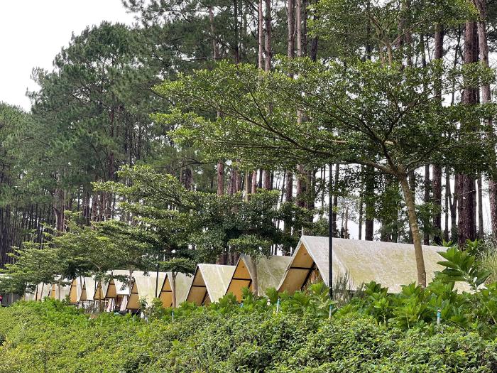 Kinh Nghiệm Cắm Trại Cho Người Mới: Chuẩn Bị, Dựng Lều, An Toàn