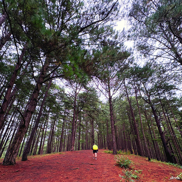 Trekking Langbiang png