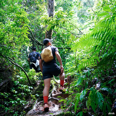 Trekking Langbiang.png Trekking Langbiang vào mùa mưapng