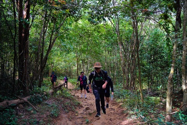 Trekking Núi Dinh giữa rừng Trekking Núi Dinh- leo núi gần Sài Gòn