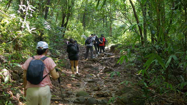 Đoàn đi trekking qua đoạn dốc đoàn trekk đi trekk qua đoạn đường dốc ở Núi Dinh
