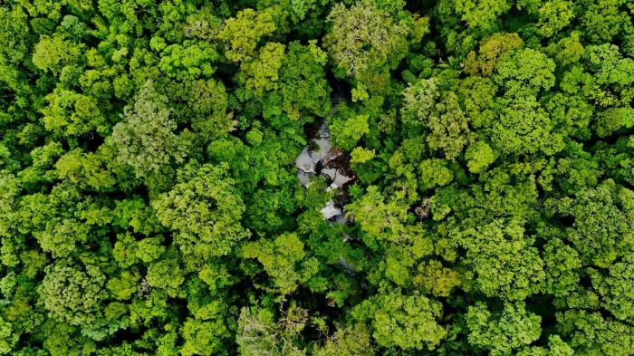 POST - SEO - 30.10.2025.jpg