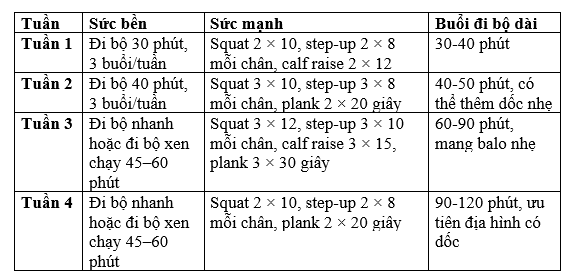 lịch tập 4 tuần cho người mới