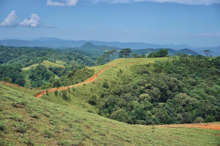 Trekking Tà Năng Phan Dũng.jpg Cung đường trekking Tà Năng Phan Dũng giữa những đồi cỏ xanh.jpg