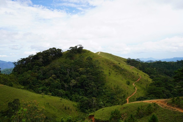 Trekking Tà Năng Phan Dũng.jpg Cung đường mòn uốn quanh đồi cỏ Tà Năng Phan Dũngjpg