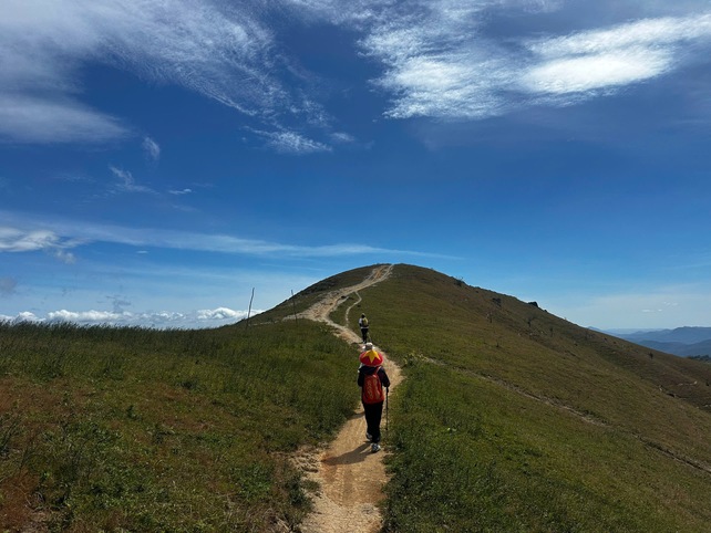 Trekking Tà Năng Phan Dũng.jpg Trekker đi trên đường mòn giữa đồi cỏ Tà Năng Phan Dũng.jpg
