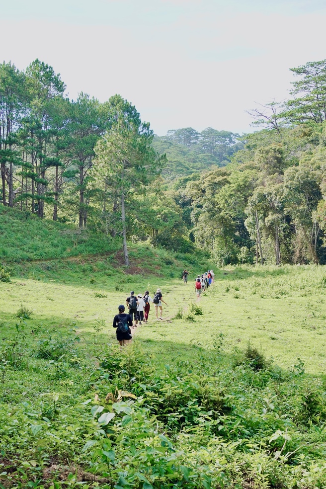Trekking Tà Năng Phan Dũng.jpg Đoàn trekking đi qua thảm cỏ xanh ở Tà Năng Phan Dũng.jpg