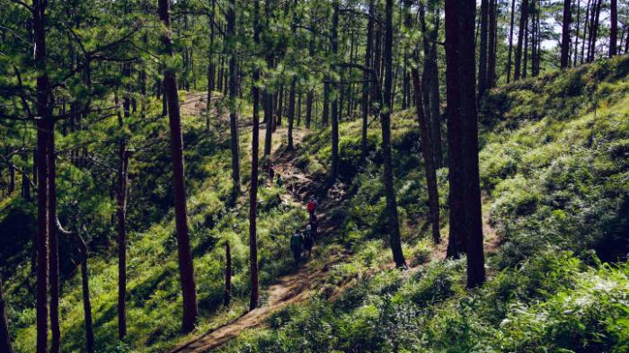 TREKKING TỰ T&Uacute;C4.jpg