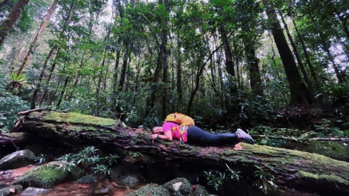 TREKKING TỰ T&Uacute;C6.jpg