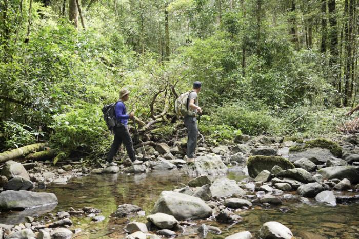 Trekking Bidoup Tà Giang: Kinh Nghiệm Cho Người Mới 