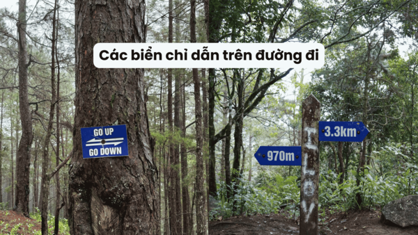 c&aacute;c biển chỉ dẫn tr&ecirc;n đường đi .png