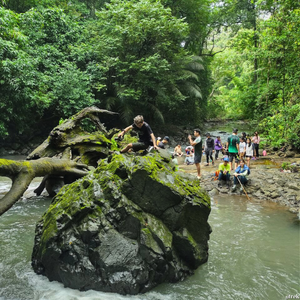 khung cảnh tươi xanh l&uacute;c đi trekking ở trong rừng