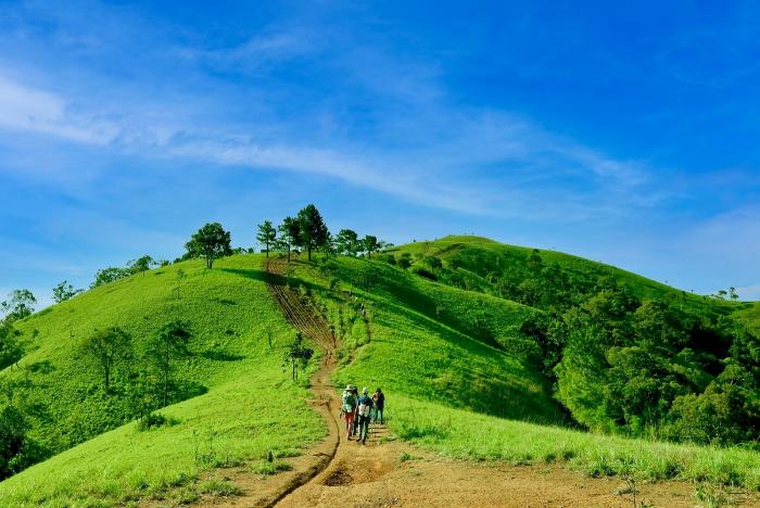 Kinh Nghiệm Trekking Tà Năng Phan Dũng Mùa Cỏ Xanh