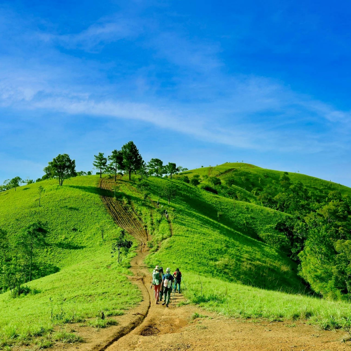 Tour Trekking Tà Năng - Phan Dũng
