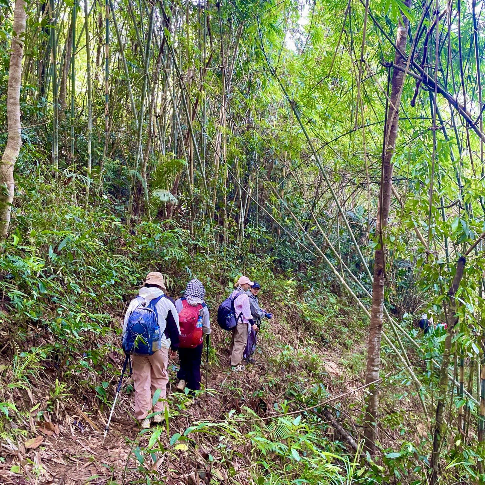 trekking Tà Đùng đường rừng